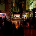 20 Jahre Kletterhalle Wien: Geburtstagsparty