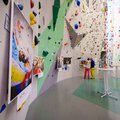 20 Jahre Kletterhalle Wien: Geburtstagsparty