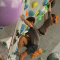 Vienna Boulder Tour 2019/20