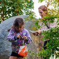 20 Jahre Kletterhalle Wien: Naturfreunde Tag